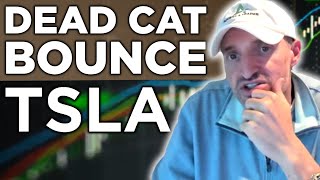 Possible Dead Cat Bounce On Tesla Stock Tomorrow | TSLA Technical Analysis