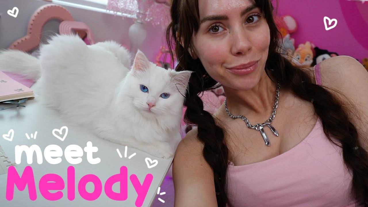 Знакомьтесь, мой новый котенок породы рэгдолл Мелоди