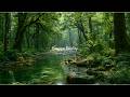 You’ll Forget the Outside World 🌿 River Sounds & Birdsong