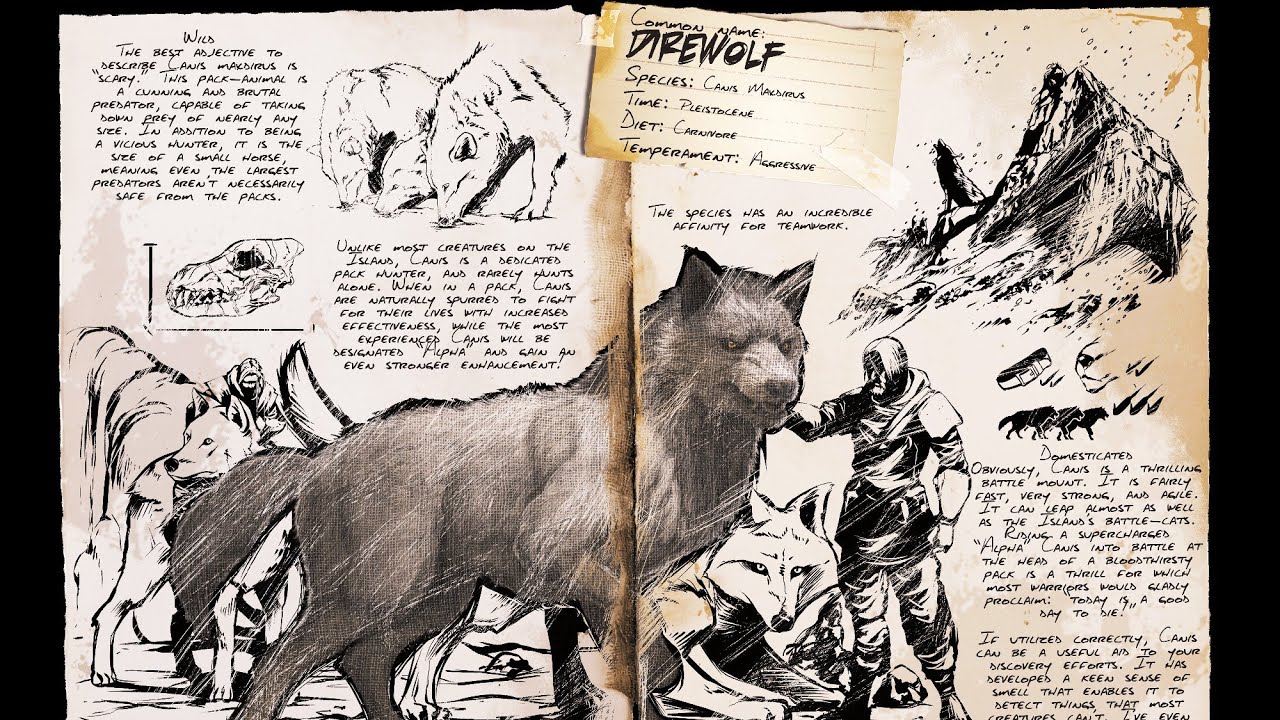 TUDO QUE VOCÊ PRECISA SABER SOBRE LOBO - DIREWOLF 🐺 | ARK SURVIVAL ENVOLVED