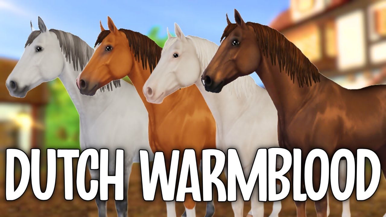 Dutch Warmblood Star Stable