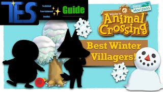 Top 10 Winter Animal Crossing Villagers!