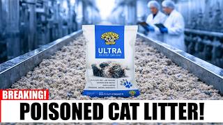 Exclusive 5 Cat Litter Brands HARMING Your CAT — What ALL Owner MUST Know Profile