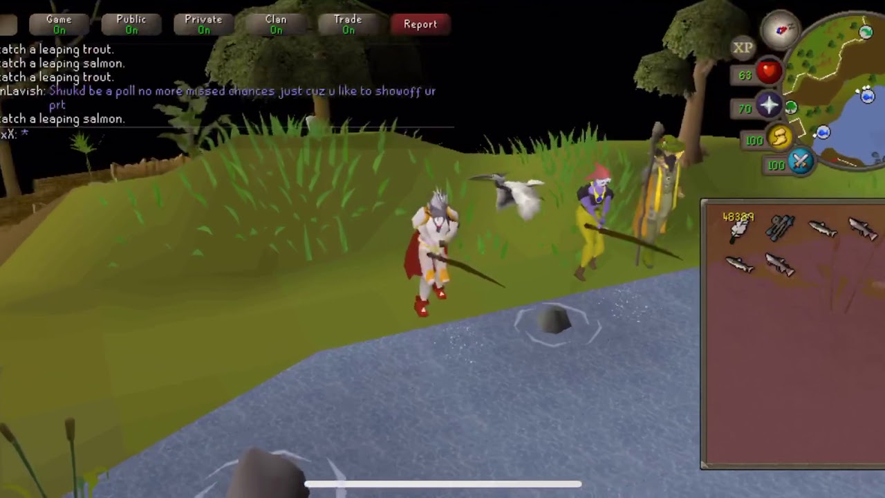 OSRS Mobile Fishing so AFK and no XP WAIST!!!!