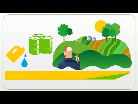 ერთად გავატაროთ კომპლექსური ნაბიჯები აზიური ფაროსანას წინააღმდეგ