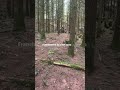 c’est une dinguerie ce sport si tu l’a pas teste tu peut pas comprendre #mtb #chill