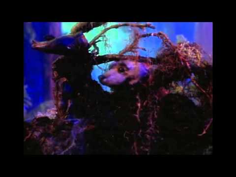 Drachenlord - Dinosaurs opening [GER  with ENG subtitles]