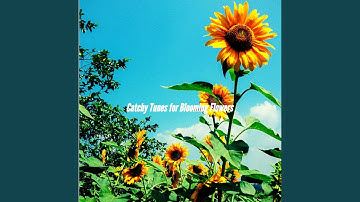 Incredible Backdrops for Momentum Reflection