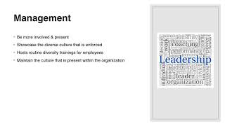 Presentation: Diversity Audit Final Report/LSAL 4143