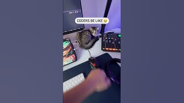 coders attitude 😎😈 #motivation #error #coder #programming #codelover #gaming #computerprogramming #c