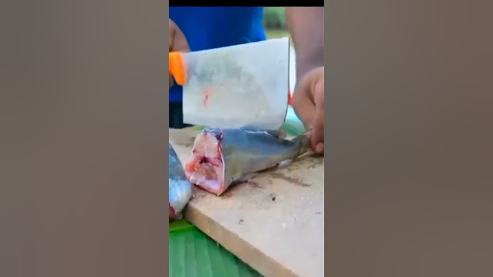 crab trap with lobster 🤯 | #m4tech #shorts #viral