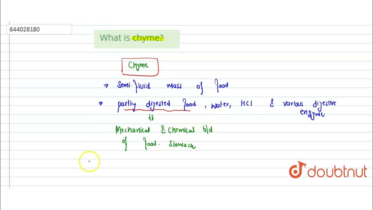 What is chyme? 9 DIGESTIVE SYSTEM BIOLOGY ICSE Doubtnut YouTube