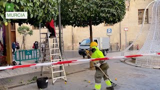 El Ayuntamiento poda 15.000 naranjos, patrimonio de Murcia