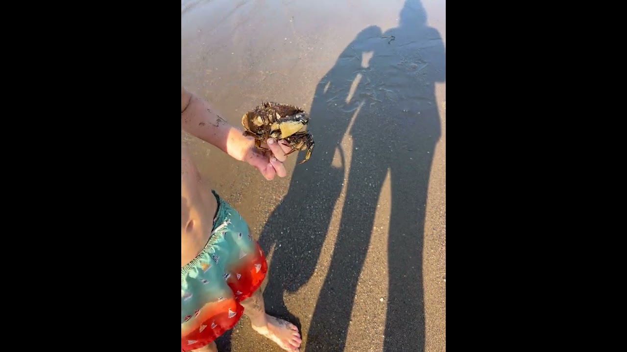 Chase n Fish - Crabbing Around Day