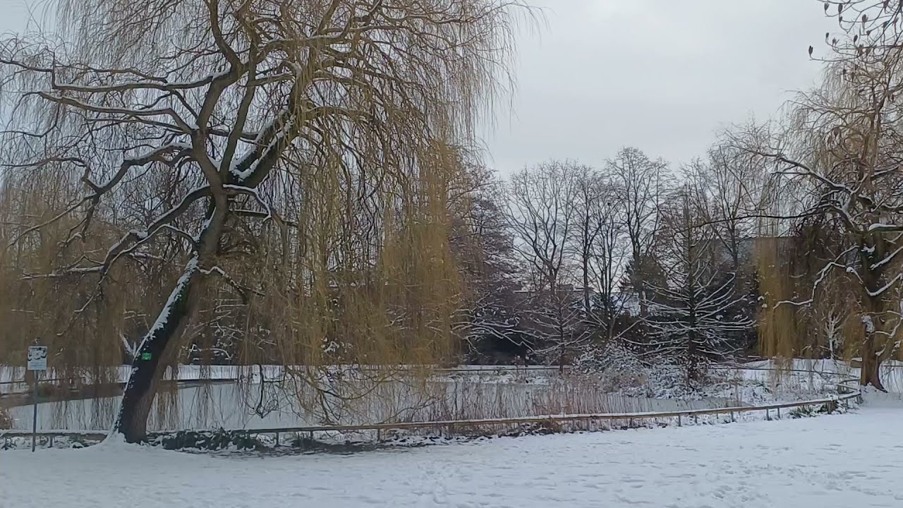 Nordpark Bielefeld 31.01.2026