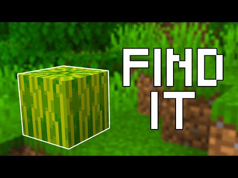 How to Find Melons in Minecraft (All Versions)