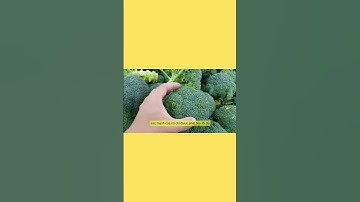 Bạn có biết súp lơ xanh tốt như thế nào không? | Sức Khỏe Là Vàng
