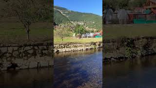 Ve Son Bahar Gelir Dağlara