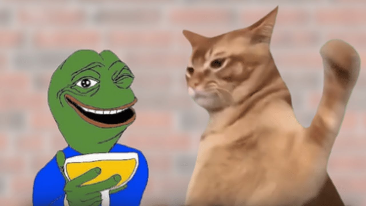 CAT SLAP JUST FAIR LAUNCHED!! SHOULD YOU BUY $SLAP?!