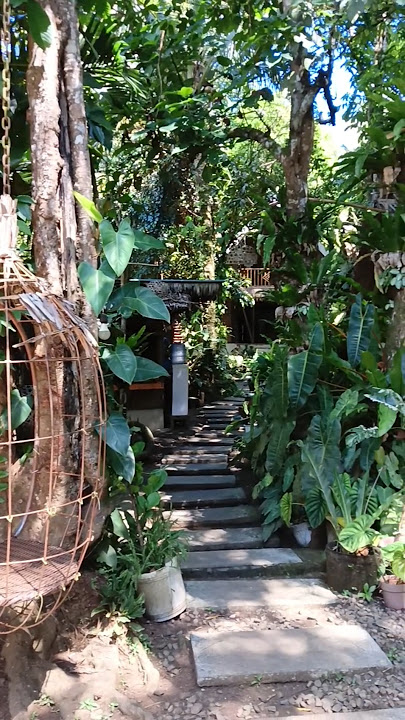 Probinsya feels lagi nakakamiss! #shorts #nature #greenery #travelvlog #shortvideo #shortsfeed