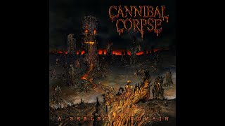 Cannibal Corpse  High Velocity Impact Spatter