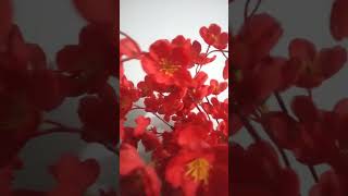 RajabEsperanto Gammar26ঃ Not obligatory  ing in Present Participle, ed/t in Past Participle of verb.