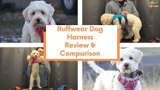 Ruffwear Dog Harness High & Light vs Front Range vs Web Master Harness Sizing and Review