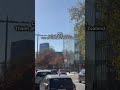 POV: Cuối tuần ở Christchurch 🍂 Thành phố hạnh phúc nhất New Zealand