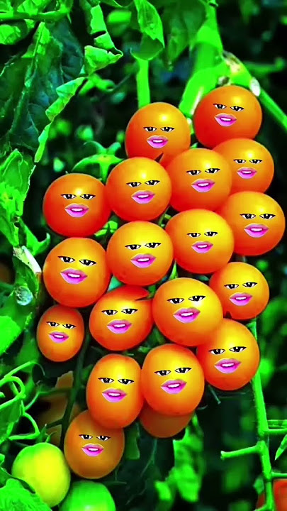 Ali punda #fruit 🤎💜💙💚💚💛🧡❤️💕🤲🤲💫💫✨✨🌟🌟⭐