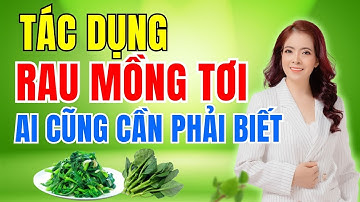 [Ai cũng cần phải biết] Tác dụng của rau mồng tơi tới sức khỏe | Đỗ Ngọc Diệp