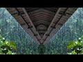 Beautiful tropical monsoon rain, relaxing, sweet sleep, perfect time |Rain Best Relaxation