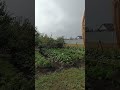 солнце 🌞 дождь ☔ день чудесный #сад