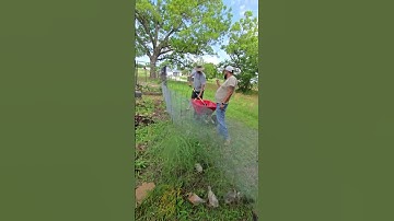 From Brooder to Garden: Moving the Chicks to Their New Run at Rock Bottom Ranch
