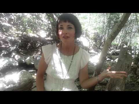 Who and What are Faeries?