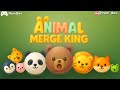 Merge Animals in Animal Merge King Game