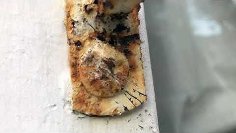 Removing Window Security Bar Screws