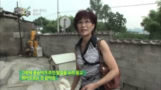[순간포착 세상에 이런일이] 20130815 #12(7)