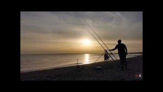 Sea Fishing LIVE TALK SHOW!!