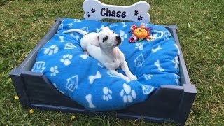 Check out the home simple design and how to make your own puppy bed!!!! We made this dog bed from wood reclaimed from a skip 