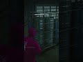Agent Swan's Death