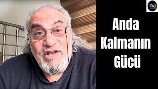 Şükrün Kapısını Araladığında, Evren Sana Açılır