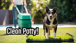 The Best Porch Potty for Dogs (and Why You Need One)