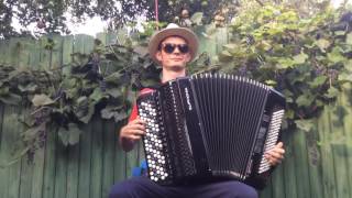 50 cent P.I.M.P. (Folk cover on the accordion)))