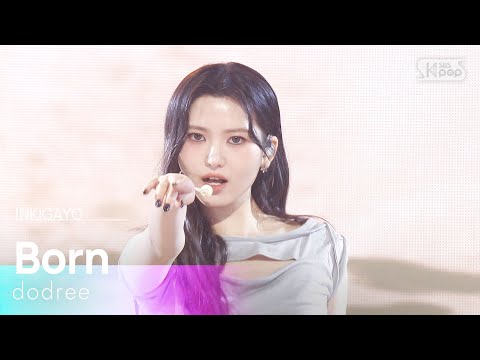 본 (本) - dodree (도드리) | SBS 260208 방송