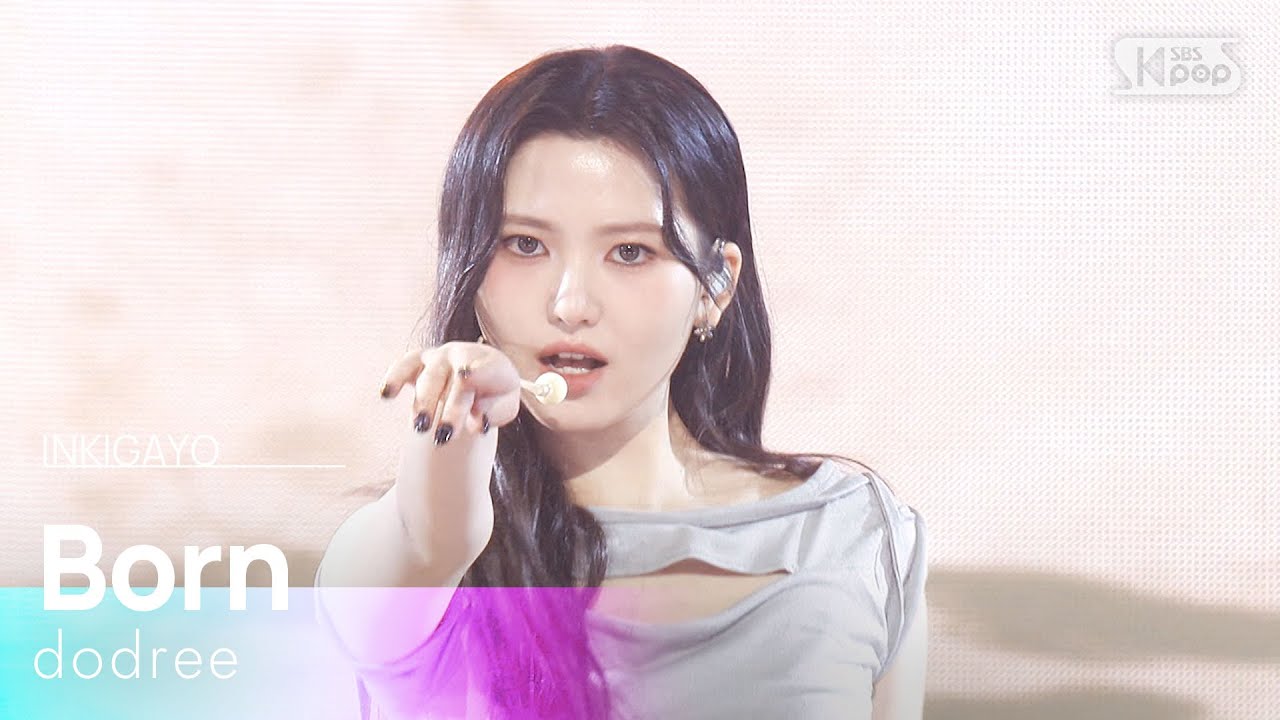 본 (本) - dodree (도드리) | SBS 260208 방송