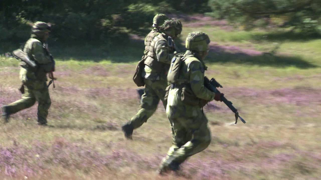 Regementets dag P7, Revingehed, 27 Augusti 2016, del 2