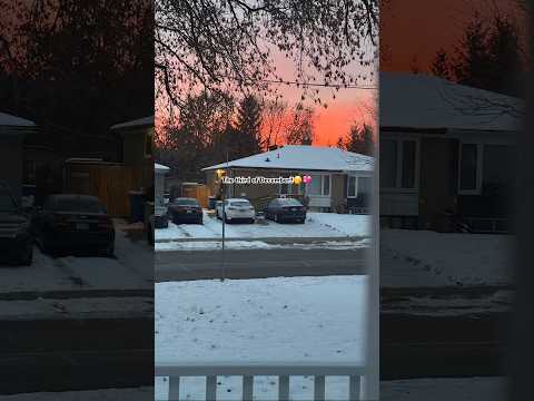 Did Yall Get A Sweater Shorts Shortvideos Song Relatable Fypシ Viral Love Hijab Memes Funny