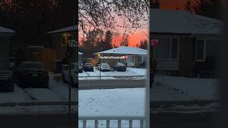 Did Yall Get A Sweater?? Viral