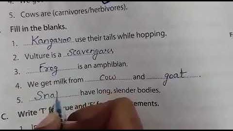 avc Class 3rd EVS Chapter number 7 the animals word Exercise