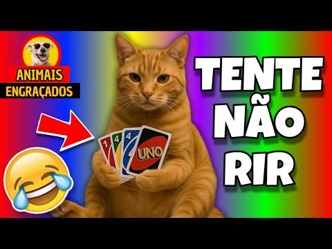 🔴 TRY NOT TO LAUGH 🔴 FUNNY ANIMAL VIDEOS PETS CATS AND DOGS DOG MEMES CAT DOG 🔴